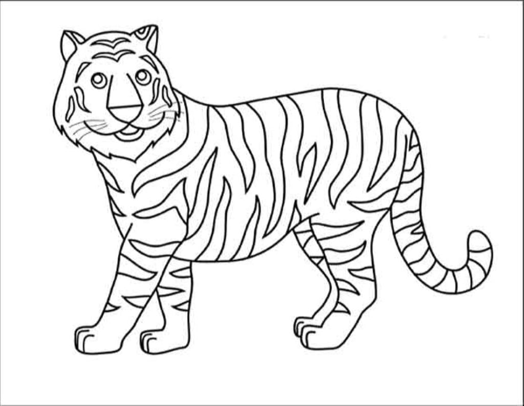 Tiger kwa kuchorea