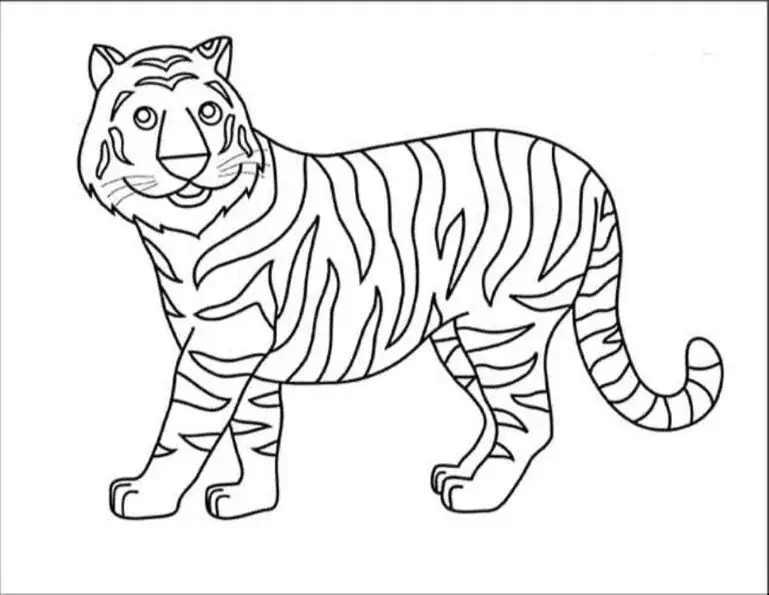Tiger for fargelegging