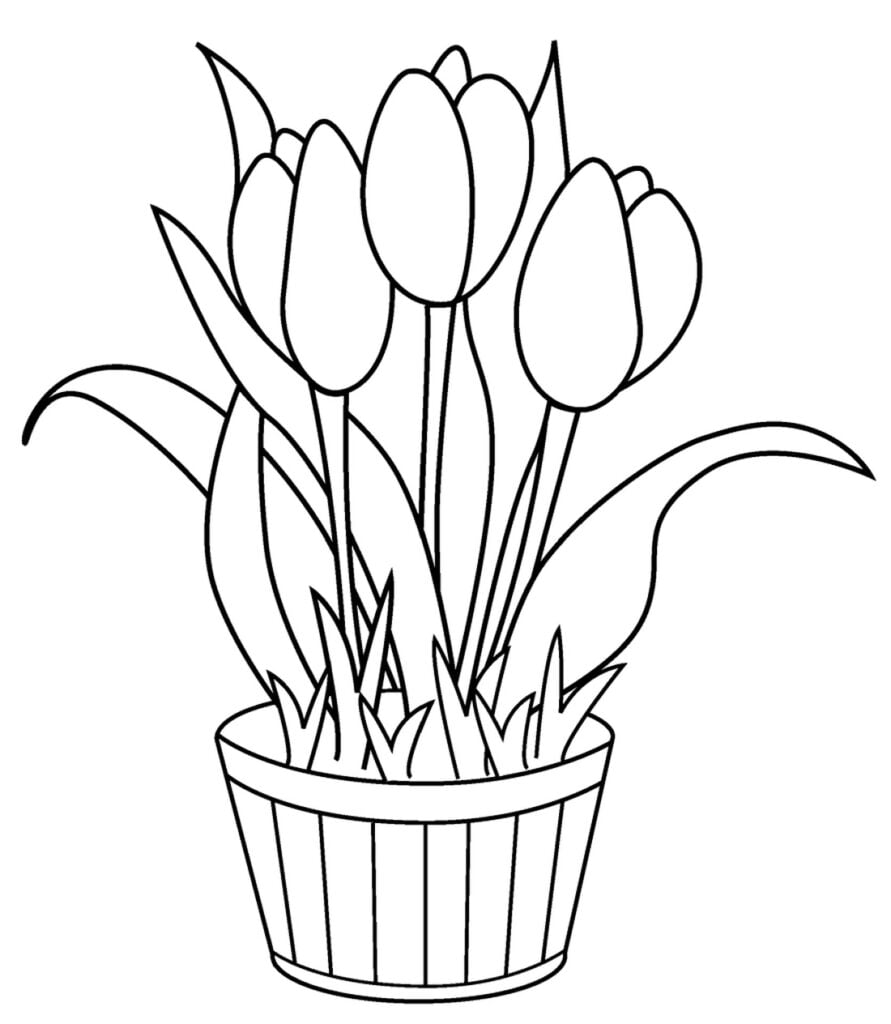 tulipes coloriage 