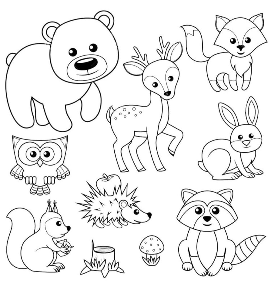 animales para niños