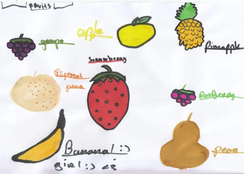 Vaisiai fruits