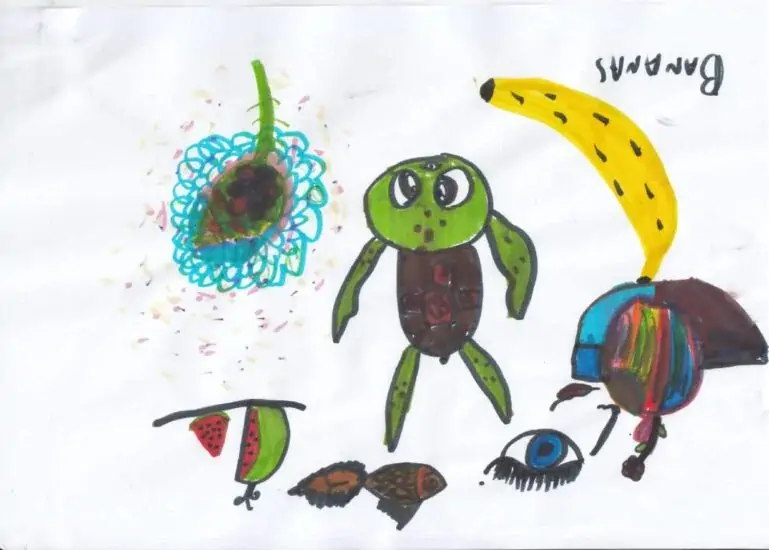 Banana želva