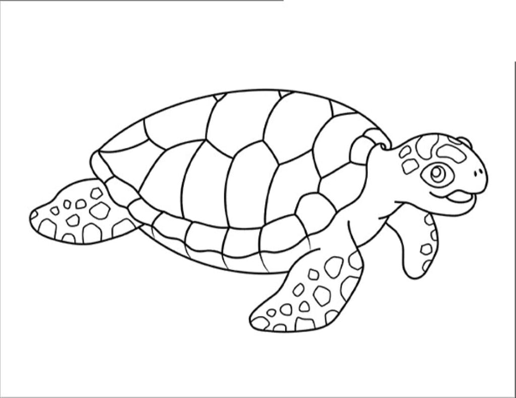 tortuga para colorear