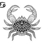 zodiacs horoskope kleur