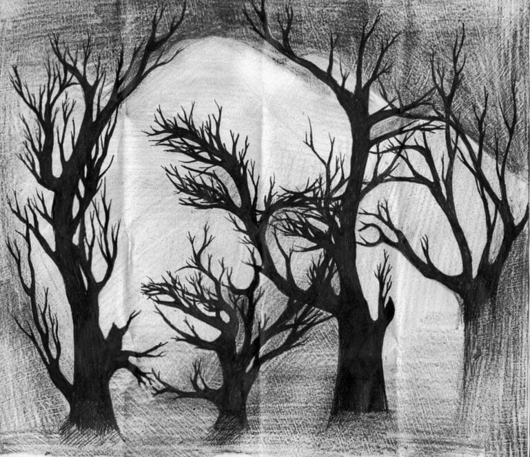 Homme ou forêt ?