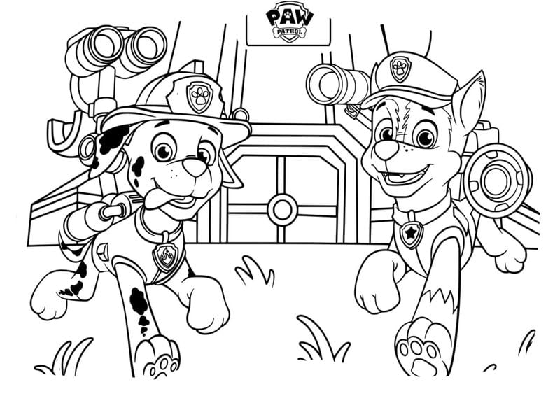 paw patrol litun