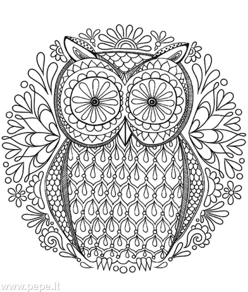 owl mandala