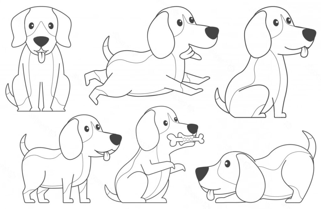 Beagle coloriage, beagles