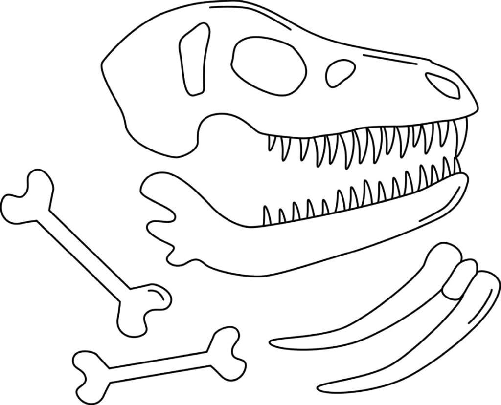 Dinosaurusten luita, fossiileja