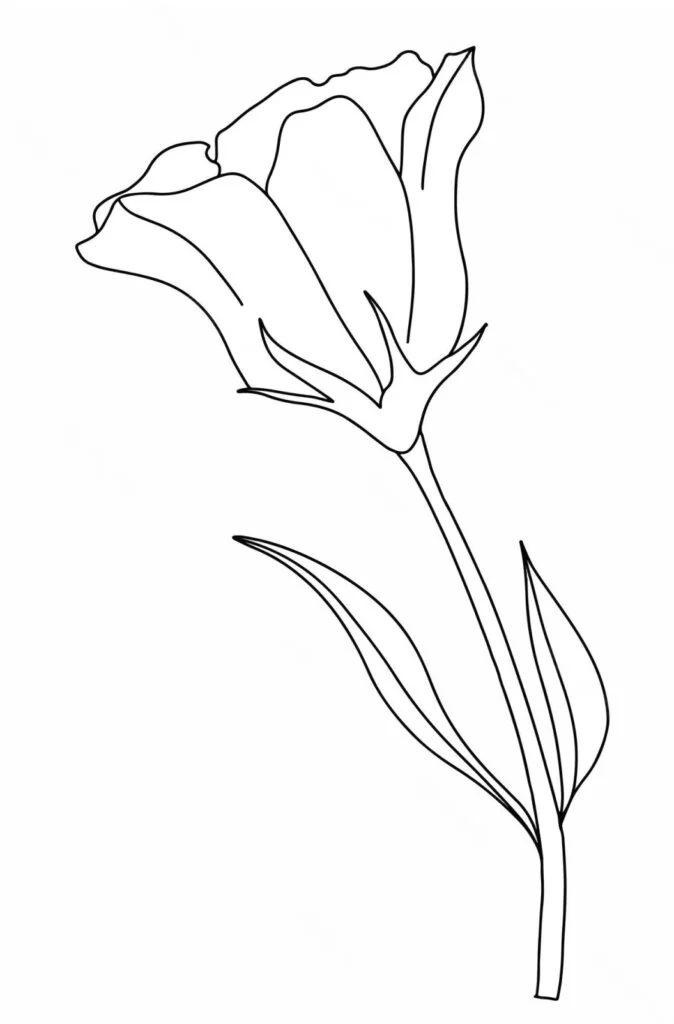 Eustoma