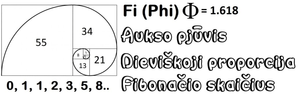 Fi(Phi) 피보나치 수와 신성한 비율 1.618