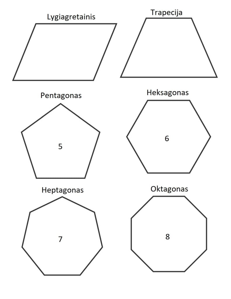 Paralelogramo, trapezoide, heptágono, octágono, pentágono, hexágono