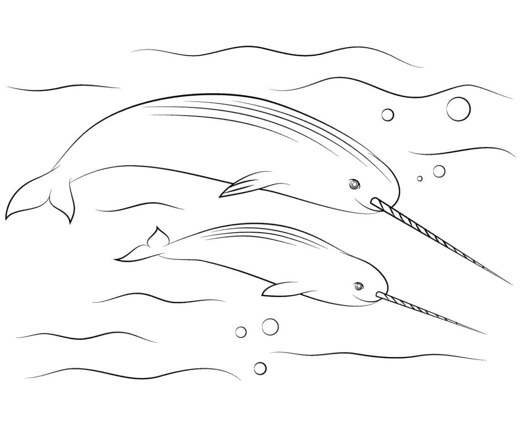 Narvalai - vandens gyvūnai 