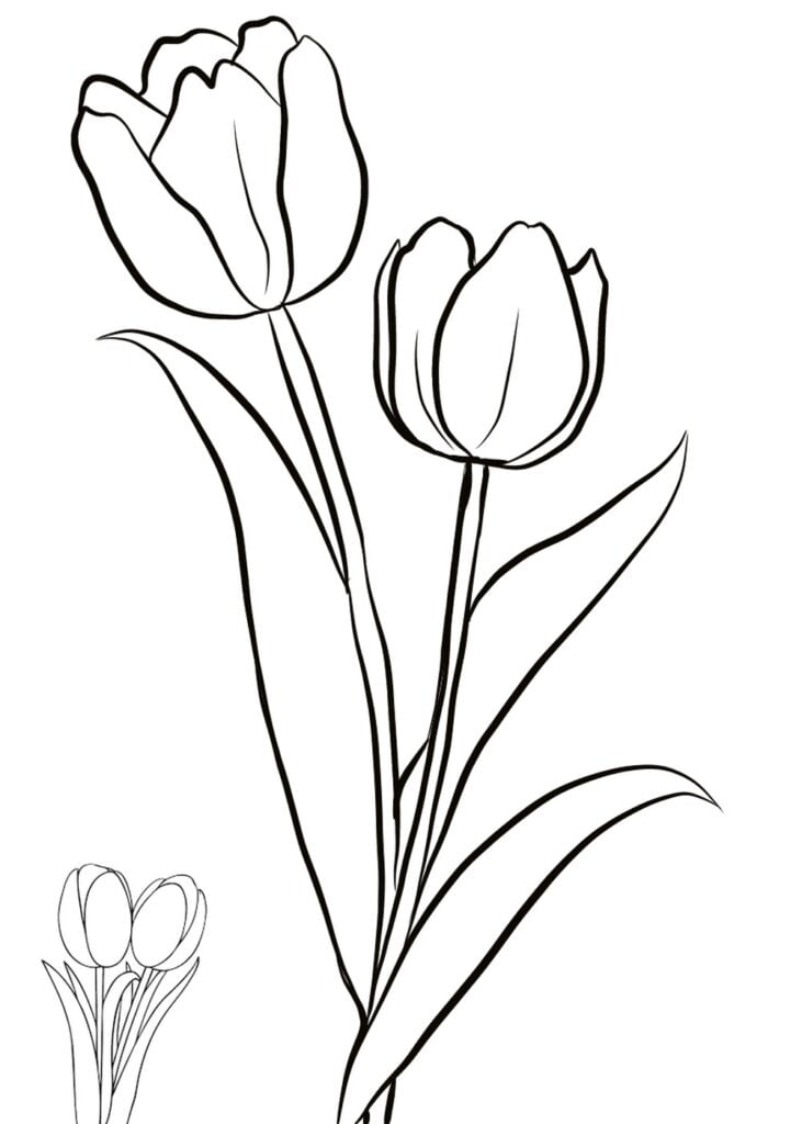 Pavasario tulpės