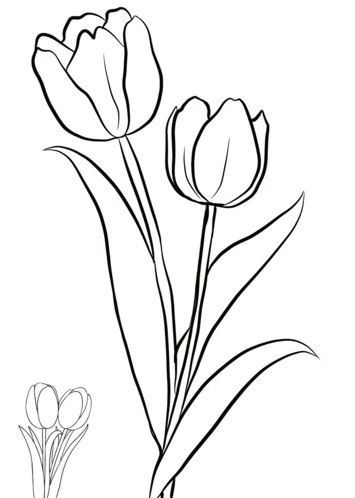 Lente tulpen