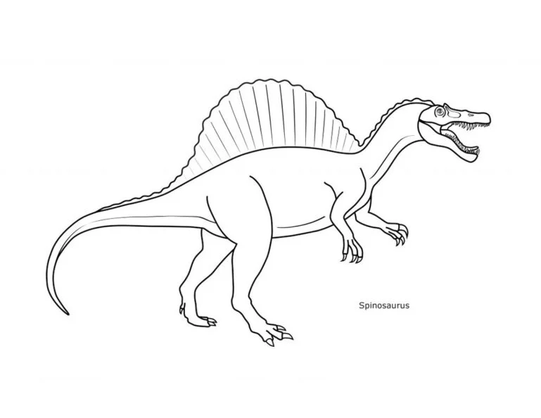 Spinosaurus tegninger til farvelægning