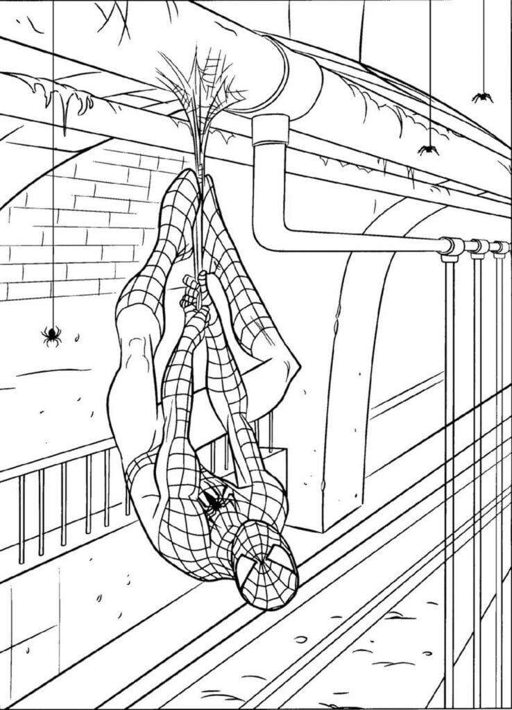 Spider-Man se cuelga