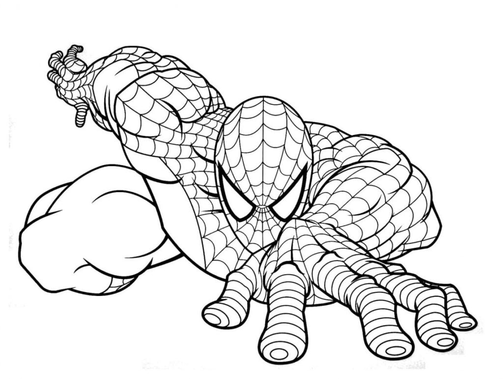 Spider-man se arrastra para colorear