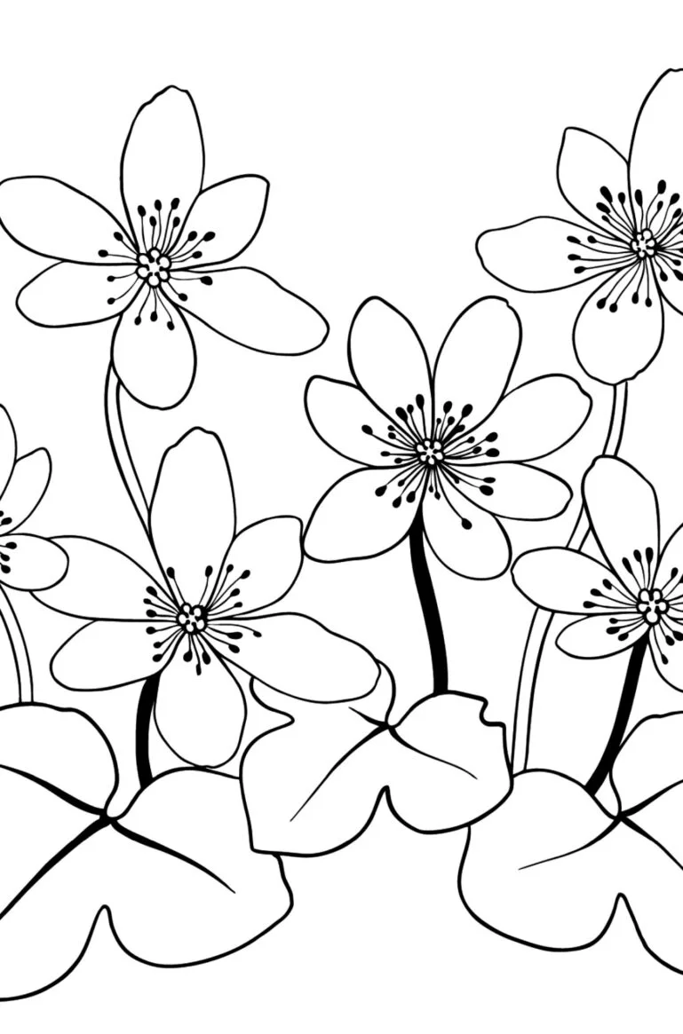 Påskeliljer er forårsblomster