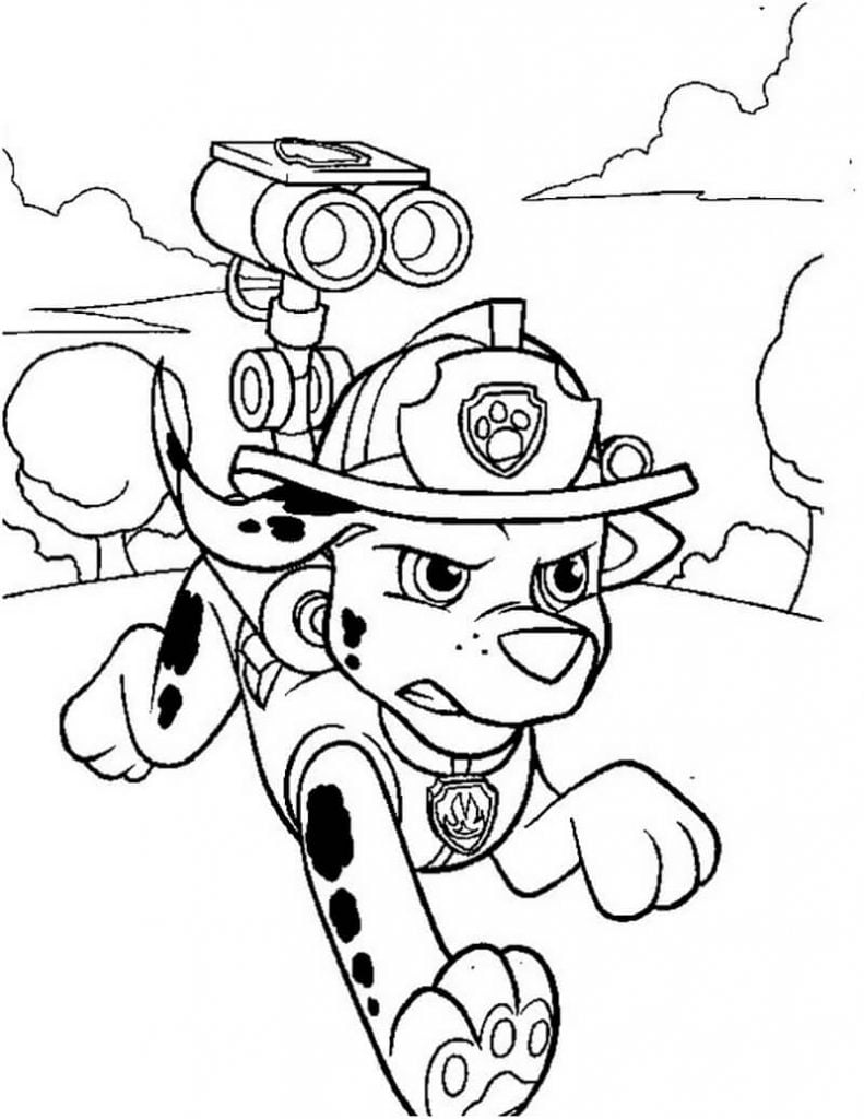 Paw Patrol enojado