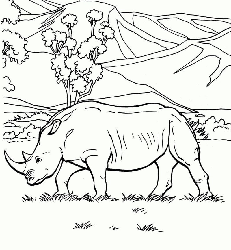 Colorie le rhinocéros