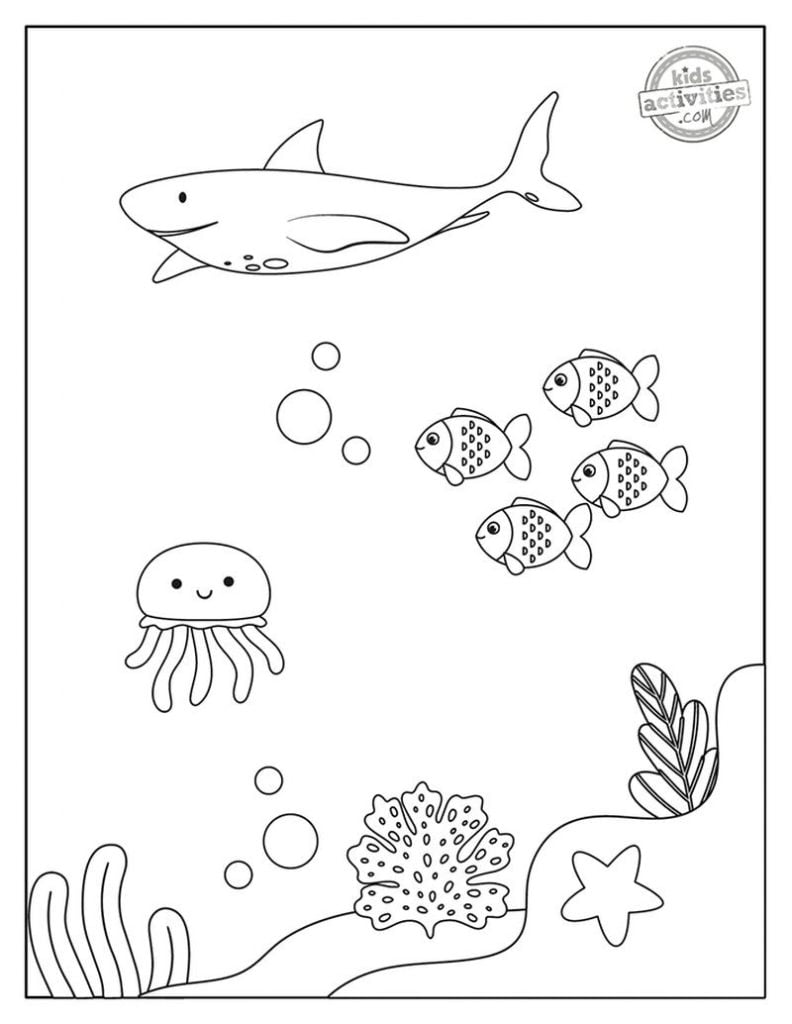 Requin, méduse coloriage