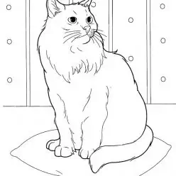着色のための猫の絵