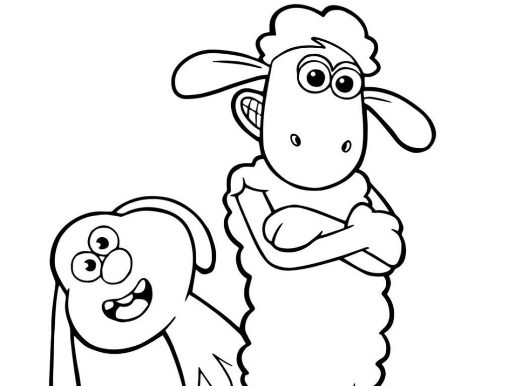 Lamb side para sa pagkolor