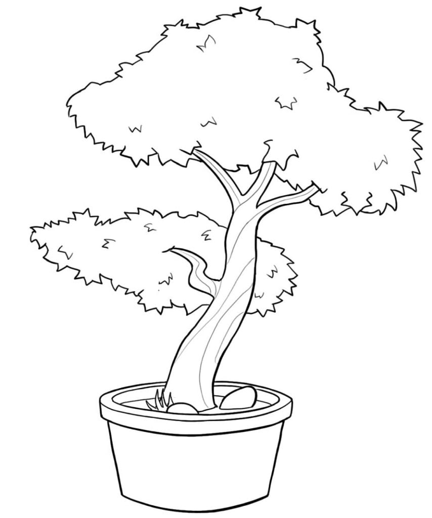 Árbol bonzai para colorear