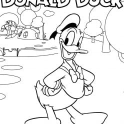 Donald að lita