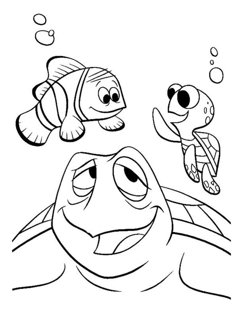 İki kaplumbağa çizimi
