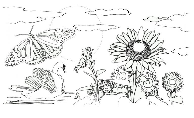 Lietuva Spalvinimui PEPE LT