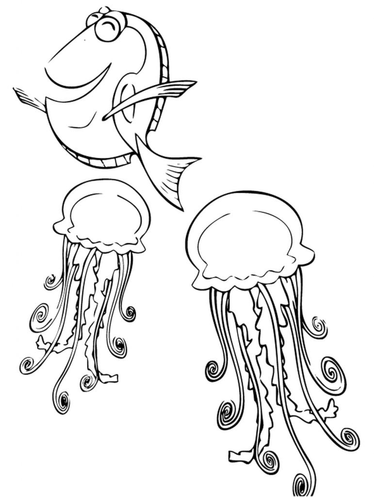 Medūzas pēc krāsas