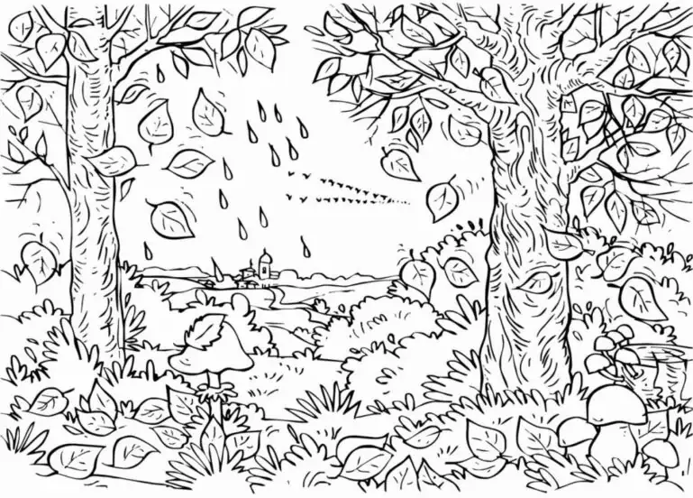 Skog om høsten