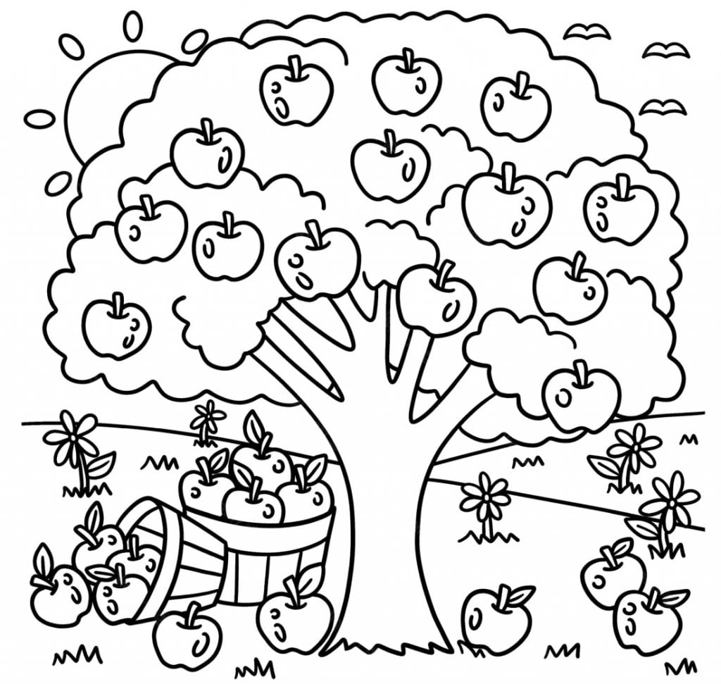 Pomme coloriage. Arbres avec des fruits coloriage