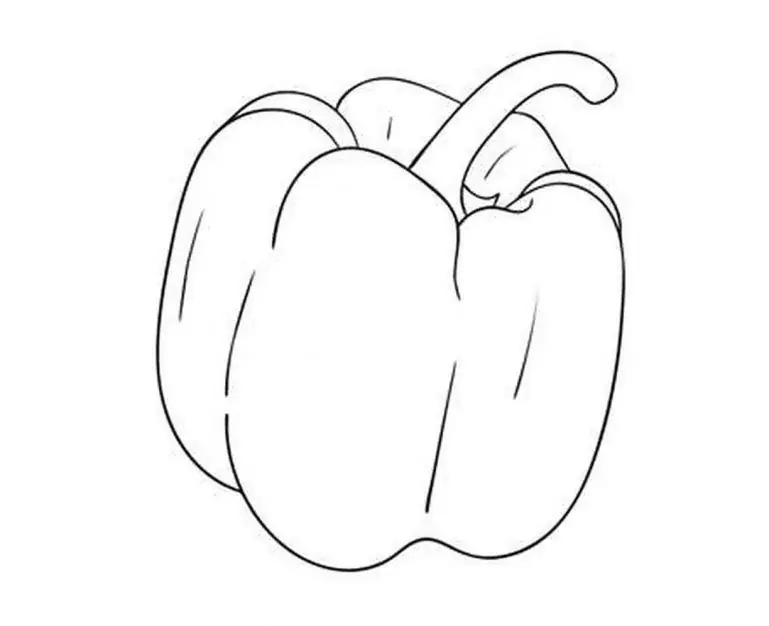 파프리카 색