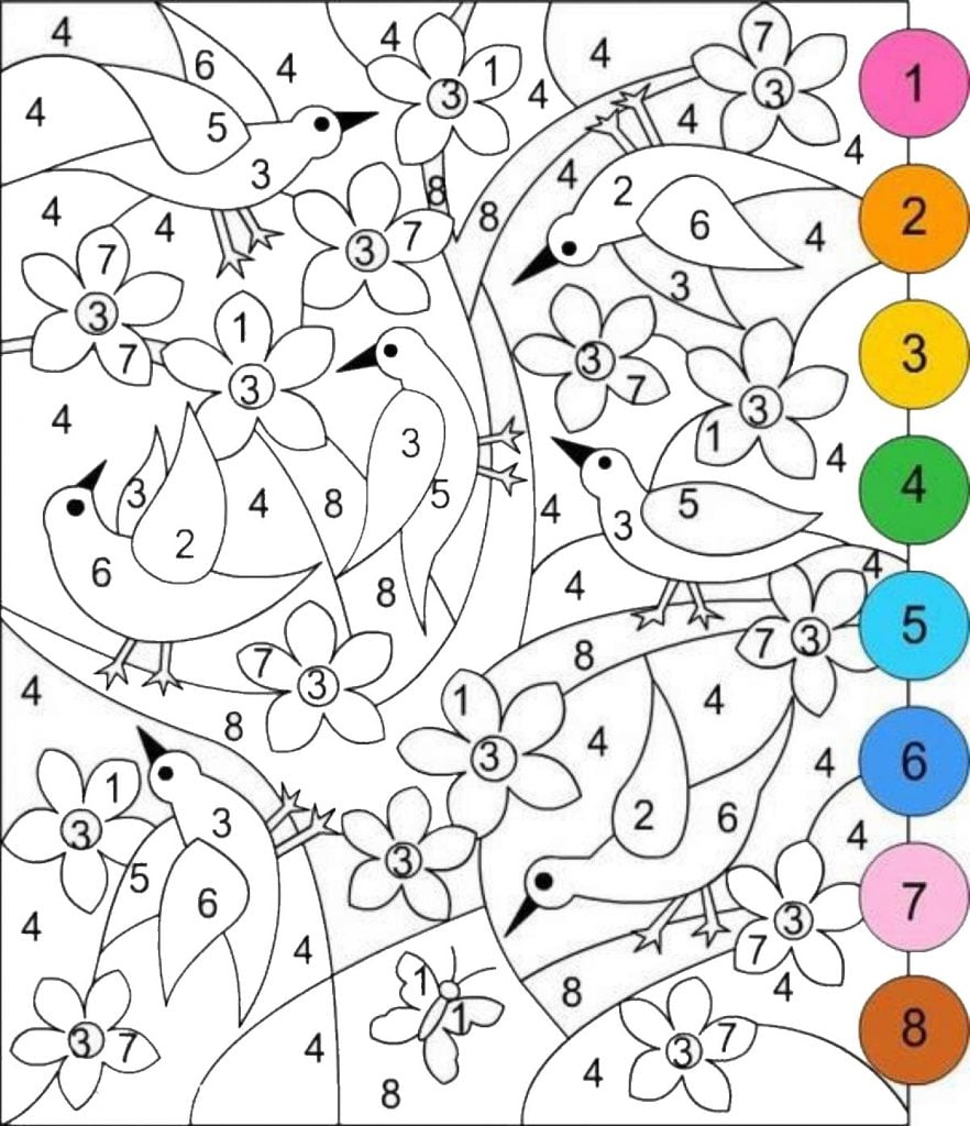 pájaros para colorear por números