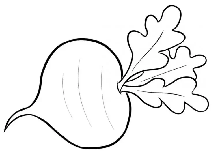 순무 색깔