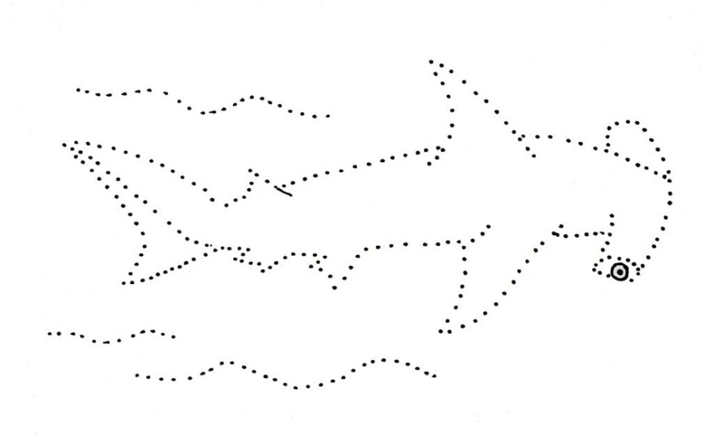 Hajen i prickade linjer