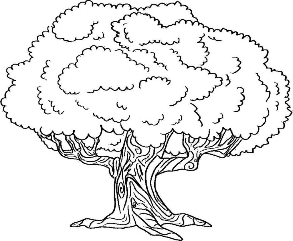 Vieil arbre coloriage