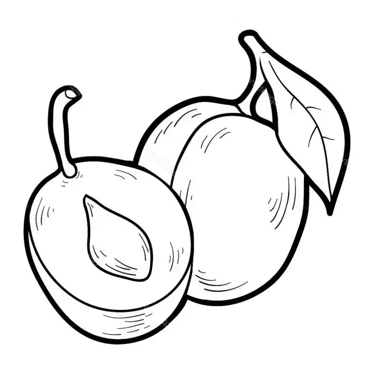 과일채소색칠🥕🍓