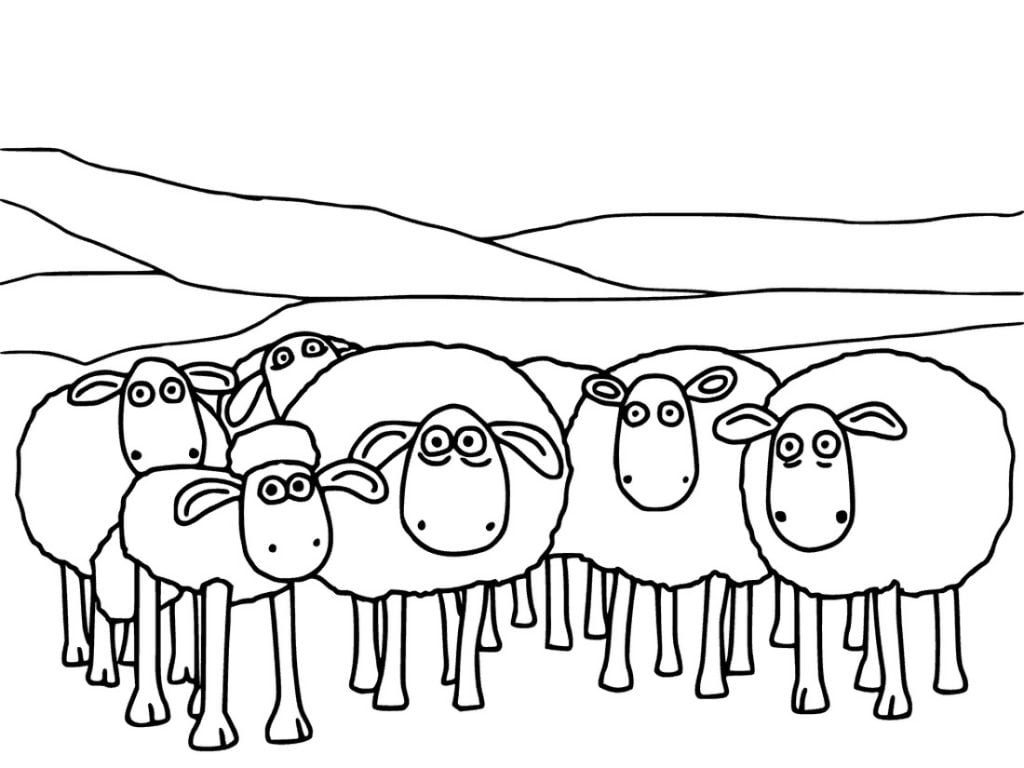 Shaon'un koyun çizimi