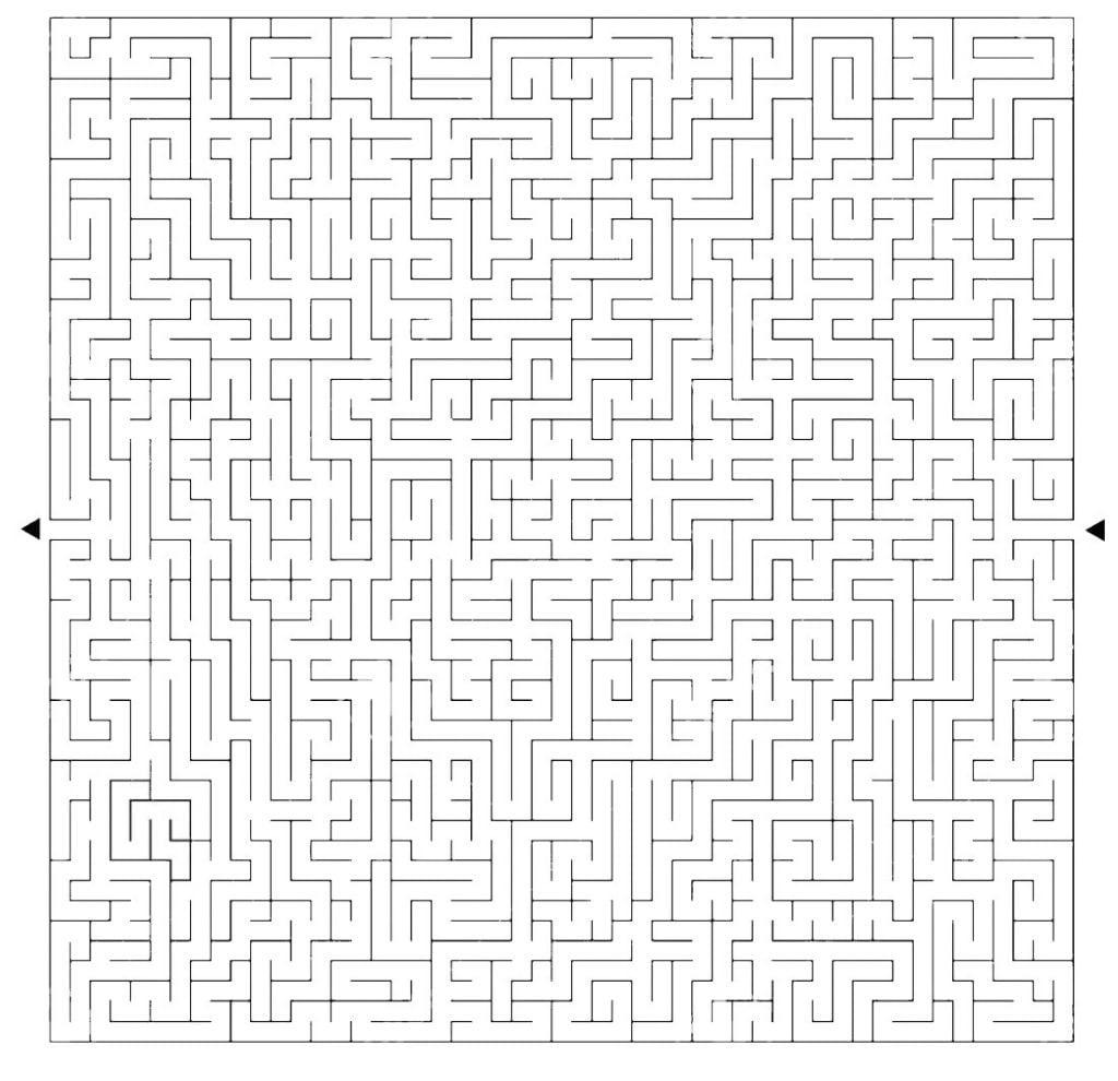 Sudėtingas labirintas