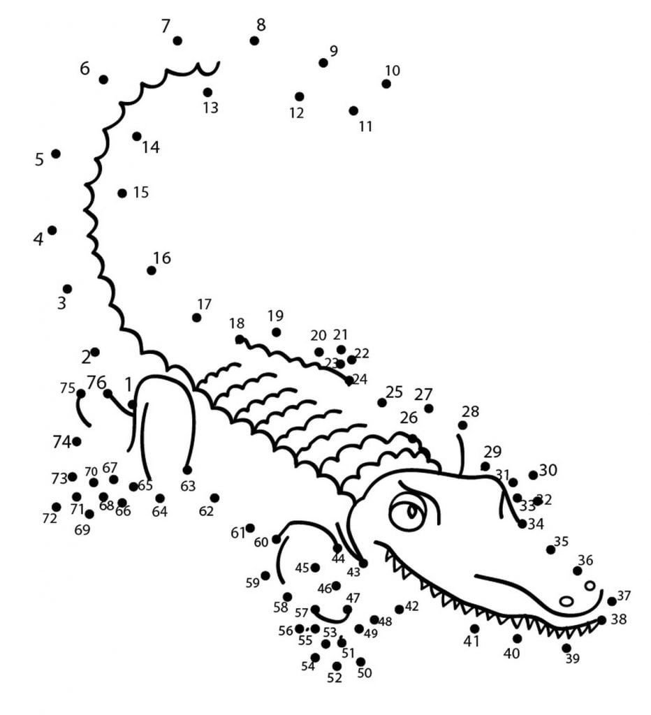 Crocodilo conecta os pontos