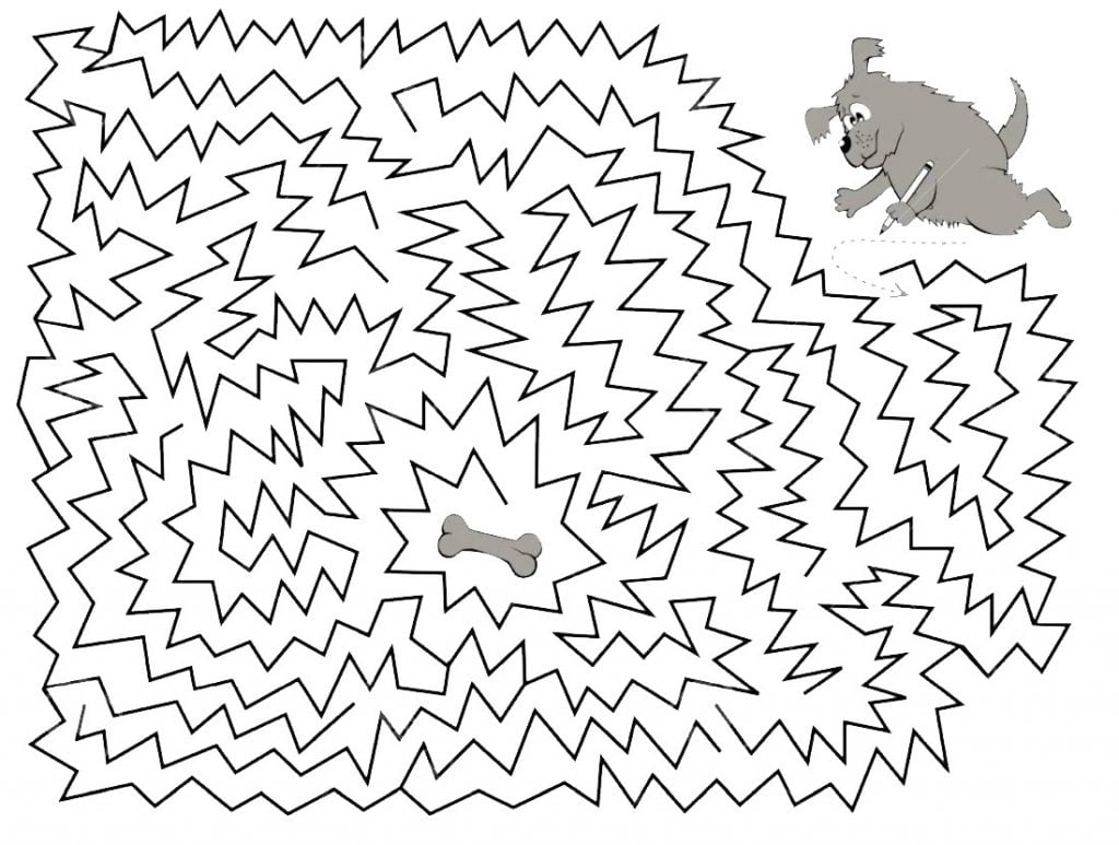 Šuniuko labirintas