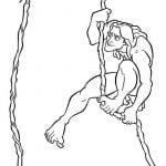 tarzan målarbilder