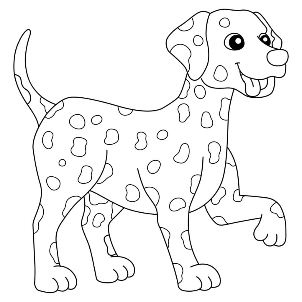 Dalmatisk hund målarbilder