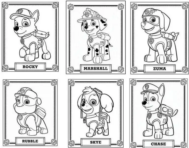 Імена цуценят: Роккі, Маршалл, Зума, Рабл, Скай, Чейз до окрасу