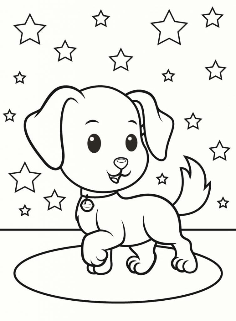 šuo ir žvaigždės