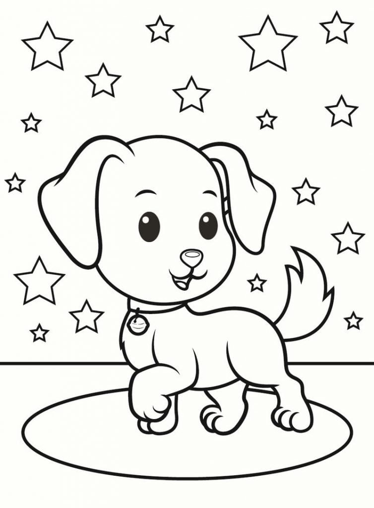 cachorro e estrelas